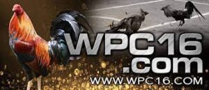 WPC16